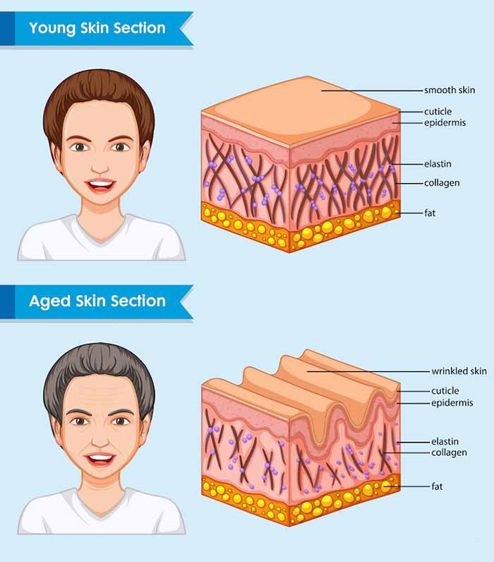 Bật mí thực phẩm chức năng chống lão hóa 1