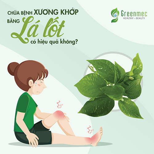 Chữa bệnh xương khớp bằng lá lốt có hiệu quả không? Cách sử dụng như thế nào?