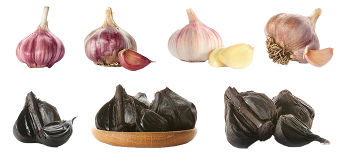 Tác dụng của tỏi đen chữa bệnh gì?