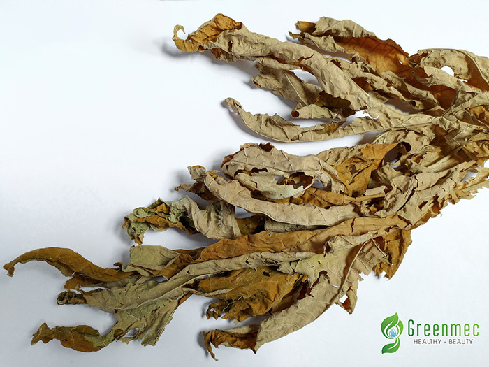 Lá đu đủ khô giúp giải độc gan