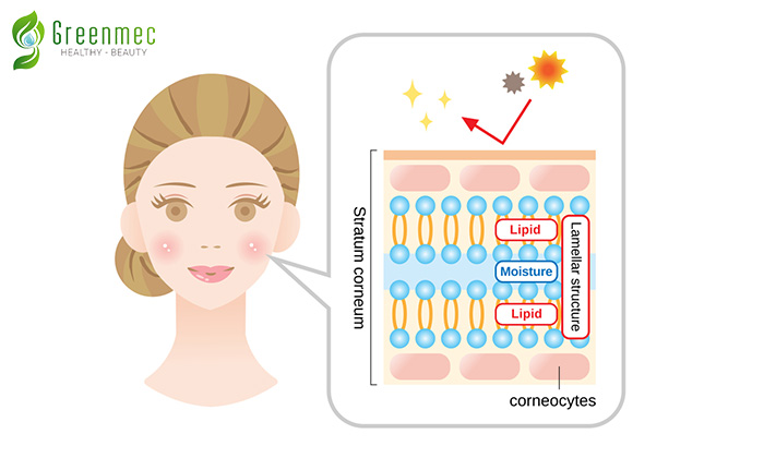 Cách trị nám từ bên trong