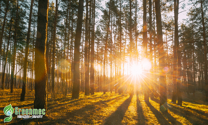 Tác hại của tia UV