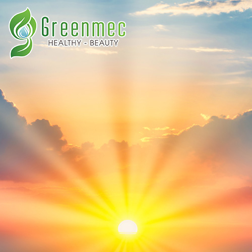 logo_greenmec