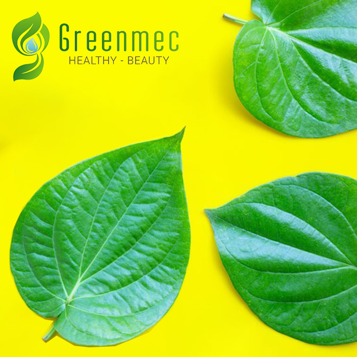 logo_greenmec