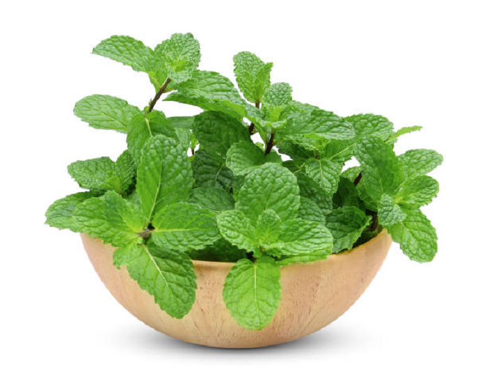 lá đắp xương khớp