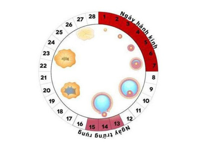 kinh nguyệt 2 tuần chưa hết