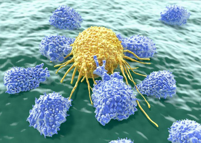 tăng đề kháng beta glucan