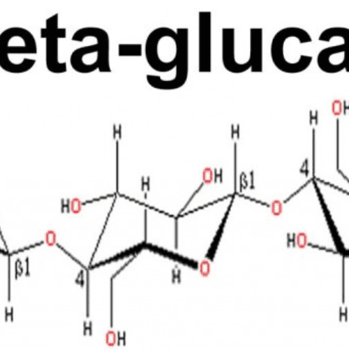 Tăng đề kháng bằng beta glucan có mang lại hiệu quả cao không?