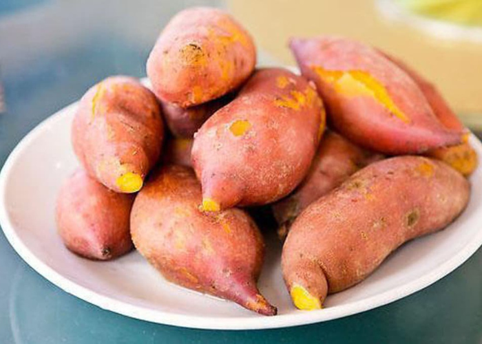 gan nhiễm mỡ ăn khoai lang được không